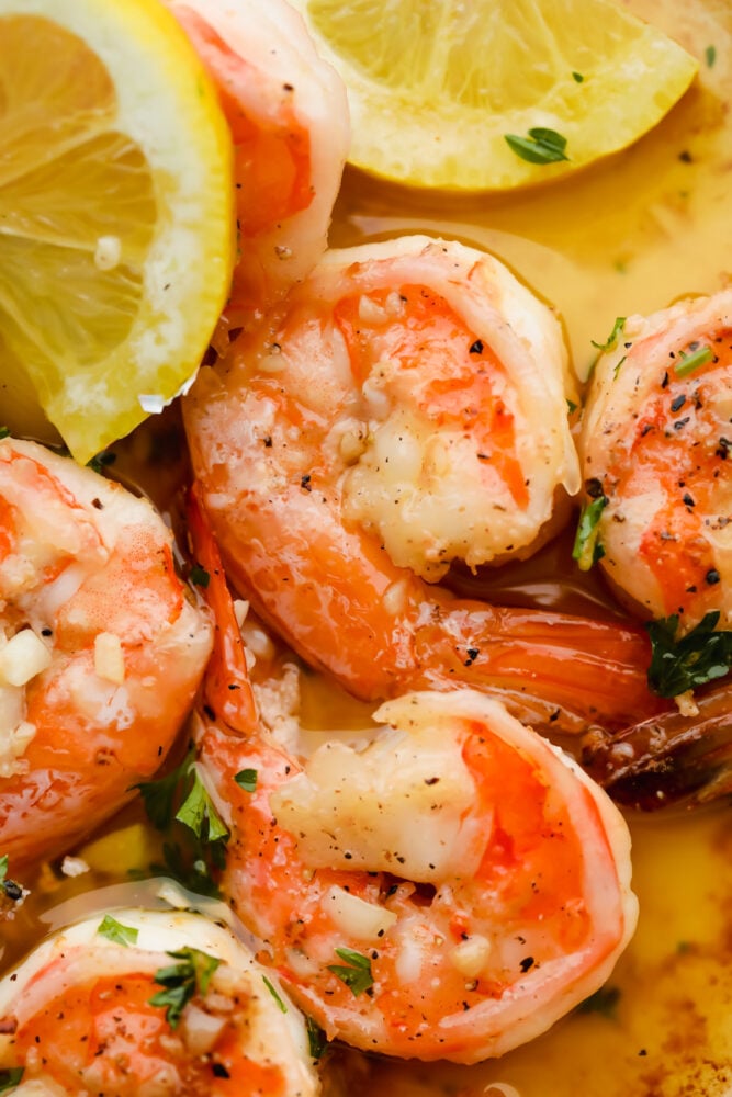 Close-up of cooked shrimp. 