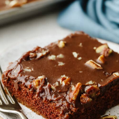 https://therecipecritic.com/wp-content/uploads/2021/08/texassheetcake-2-500x500.jpg