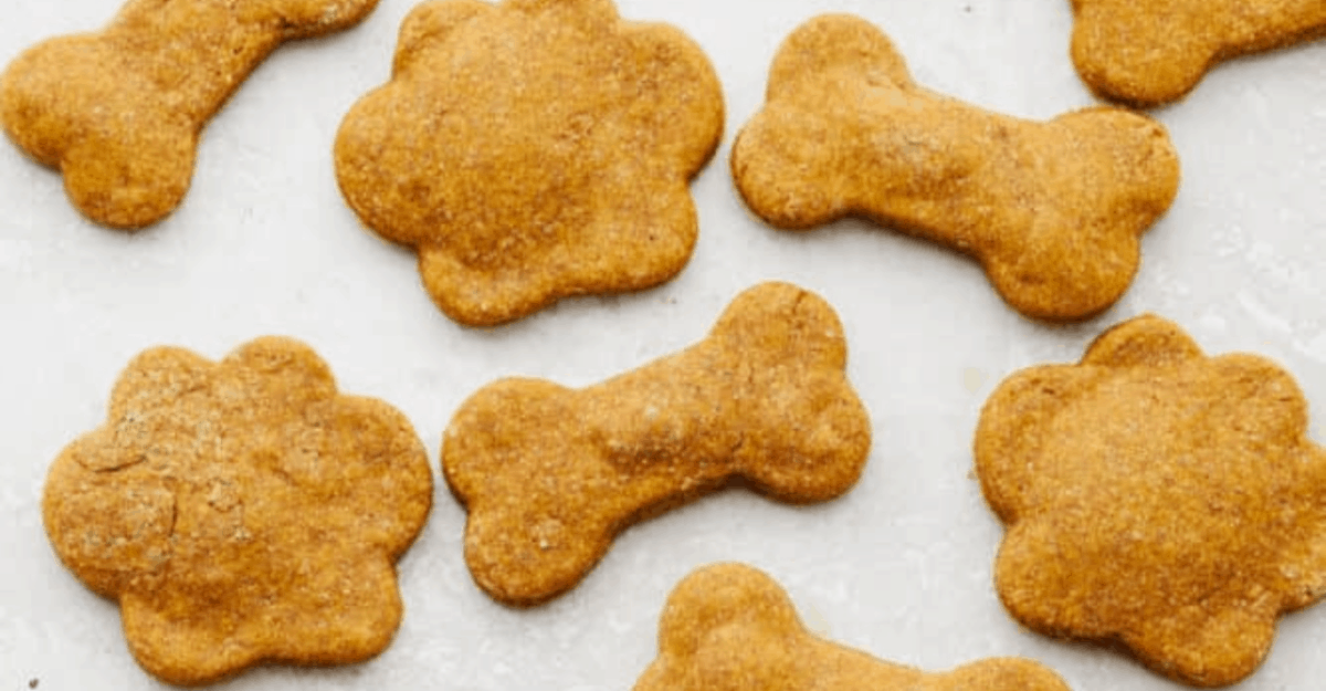 25 Best Homemade Dog Treats - DIY Dog Treat Recipes