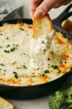Creamy Chicken Alfredo Dip