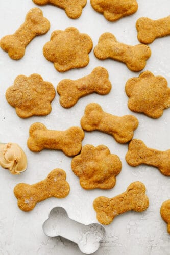 Easy Healthy Homemade Dog Treats Recipes | The Recipe Critic