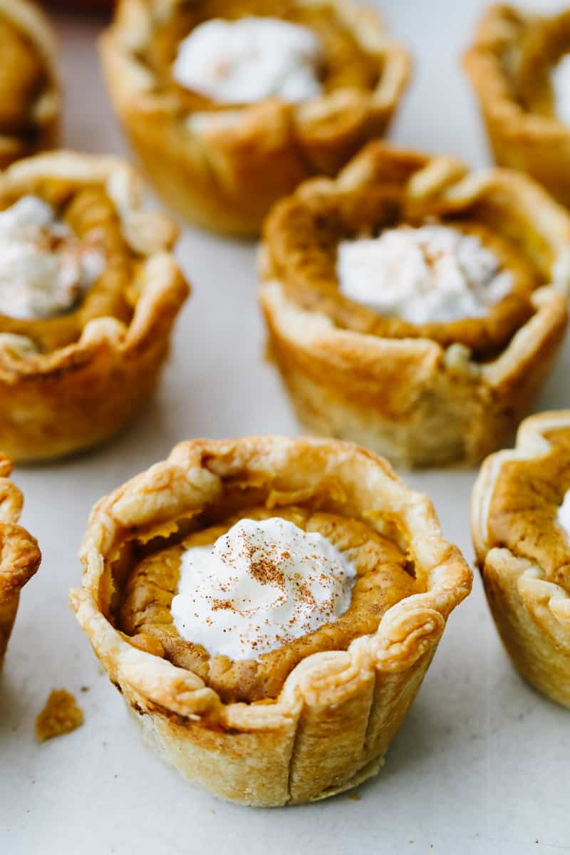 Easy Mini Pumpkin Pie Recipe | The Recipe Critic