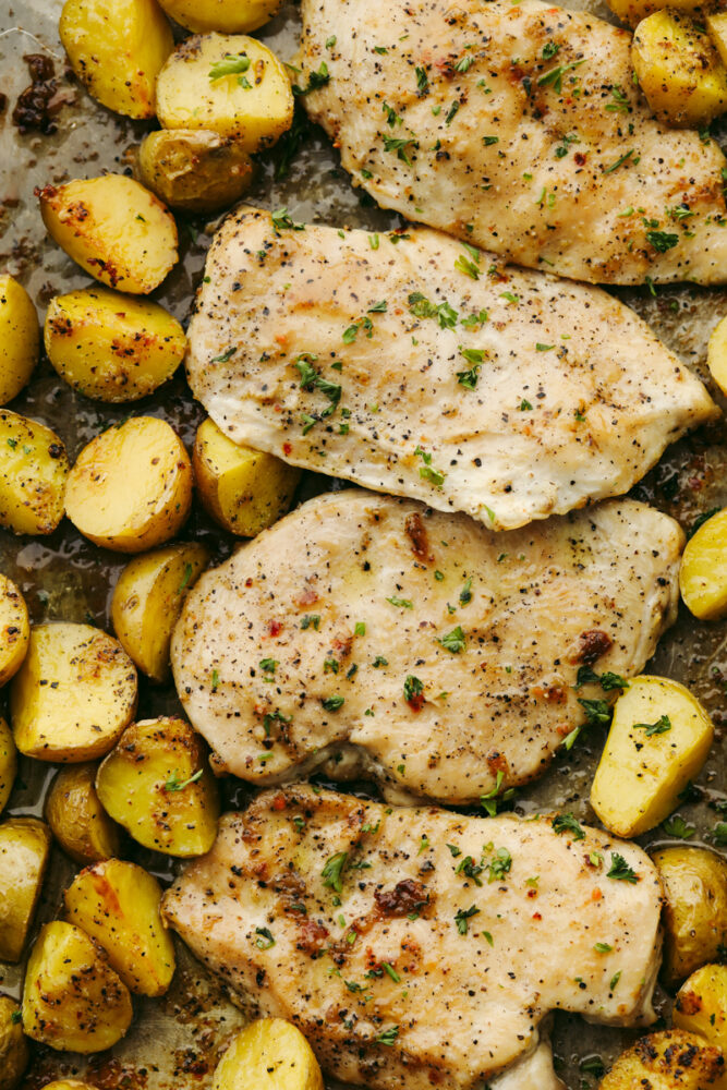 Close up of buttery baked herb chicken and potatoes. 