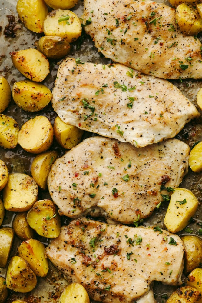 Baked Buttery Herb Chicken and Potatoes - 75