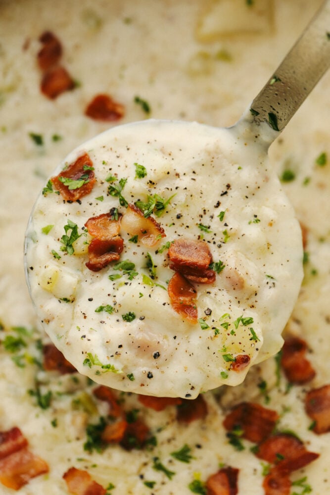 A close up of clam chowder in a ladle. 
