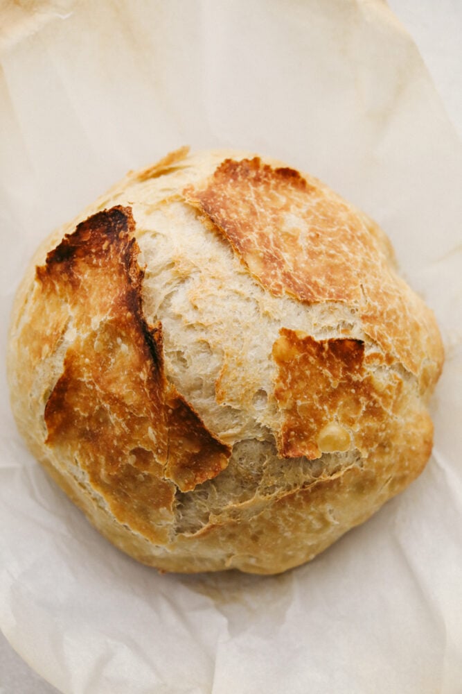 Miracle No Knead Bread Recipe - 78