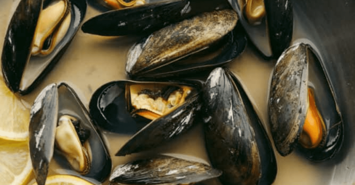 steamed Mussels