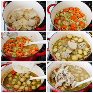 One-Pot Chicken Stew Recipe | The Recipe Critic