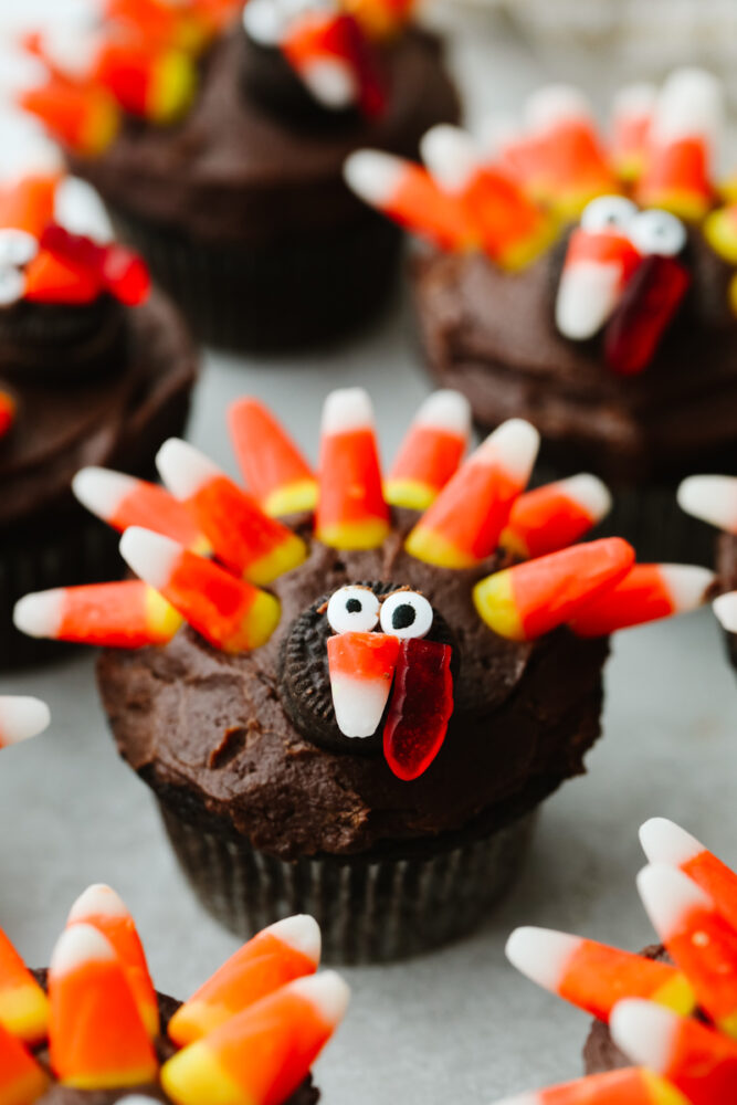 A chocolate cupcake decorated to look like a turkey. 