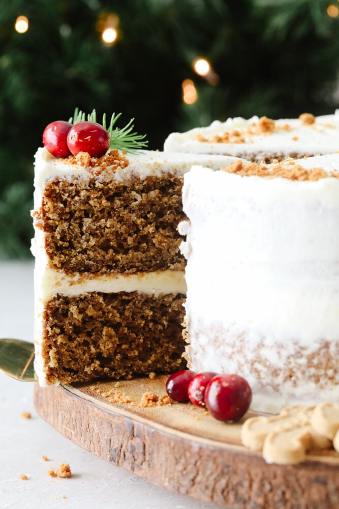 Closeup of a slice of gingerbread cake, garnished with cranberries.