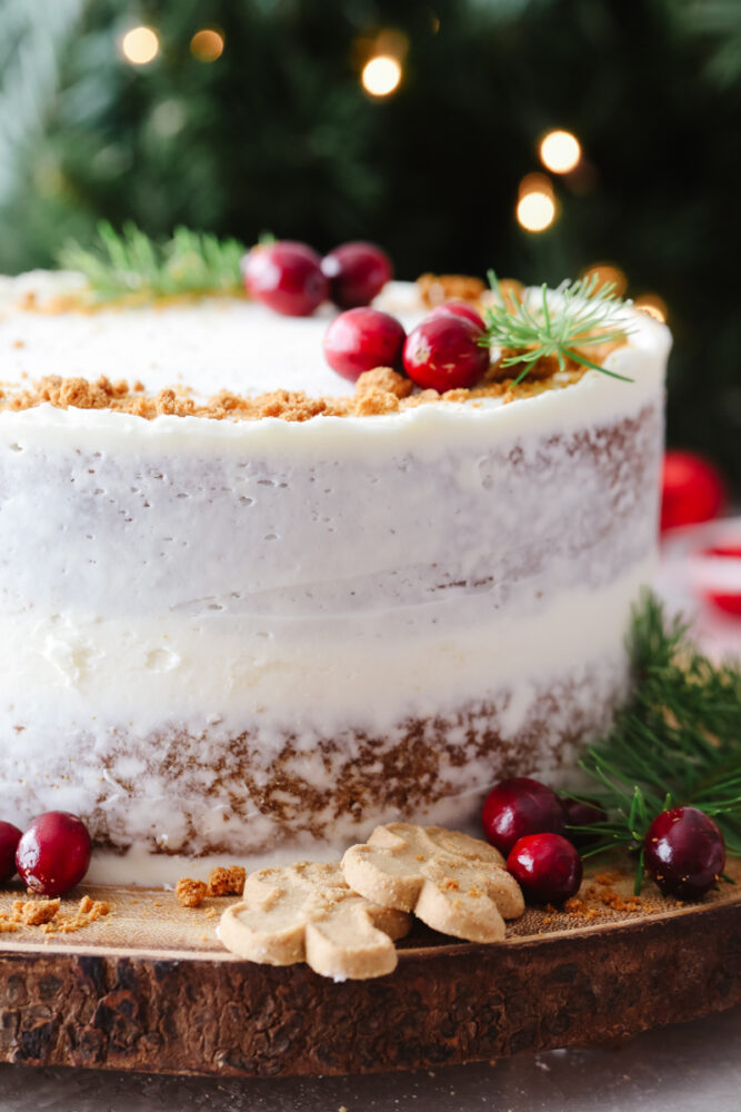 A full cake frosted with white chocolate buttercream, garnished with gingerbread crumbs and cranberries.