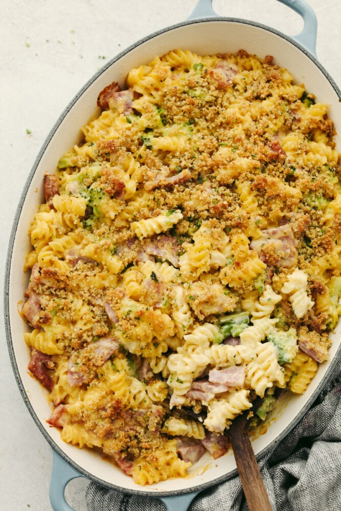 Casserole with ham, noodles, broccoli and cheese sauce in a dish. 