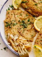 Easy Cajun Garlic Butter Tilapia in Air Fryer | The Recipe Critic