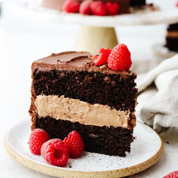 Layered Chocolate Mousse Cake Recipe | The Recipe Critic