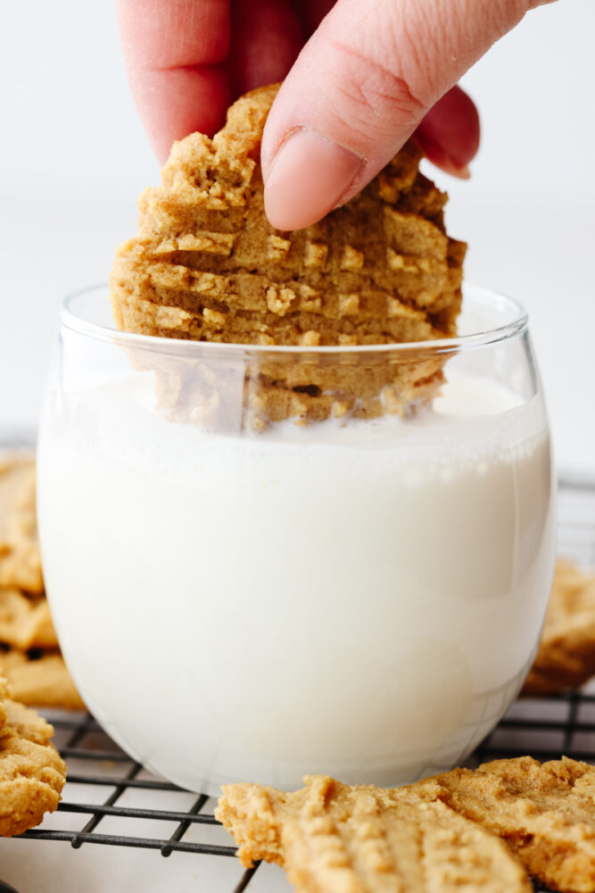 A flourless peanut butter cookie being dipped in milk. 
