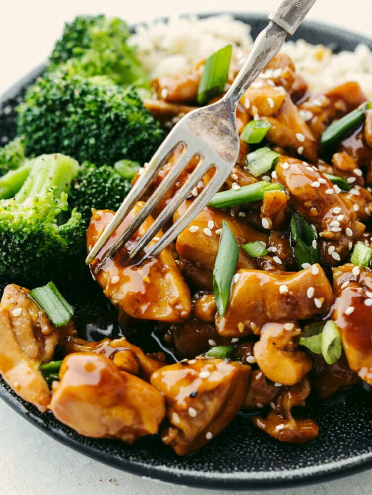 Best Ever Teriyaki Chicken Recipe - BLOGPAPI