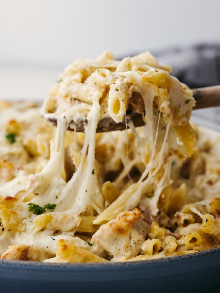 Chicken Alfredo Pasta Bake Recipe The Recipe Critic image