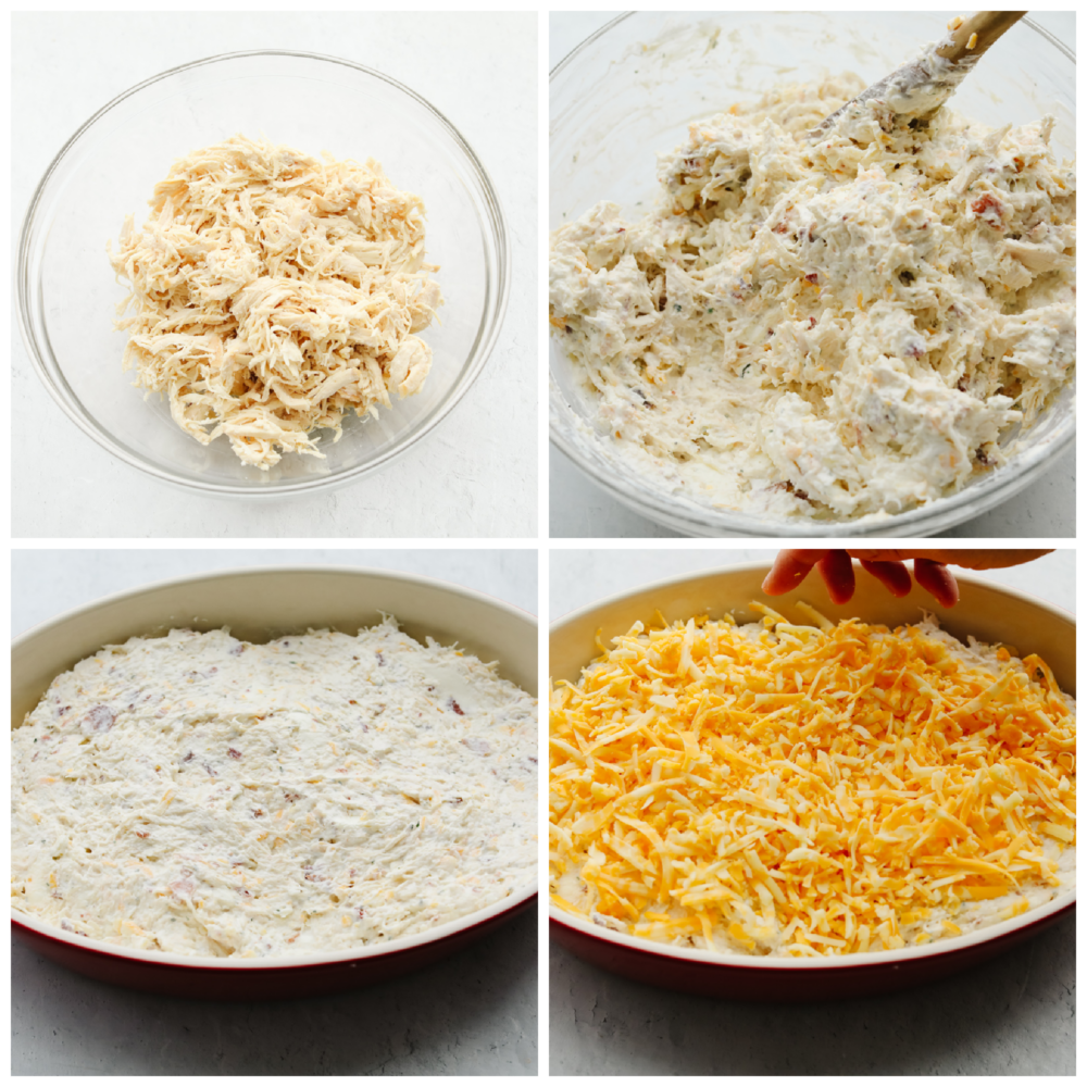 Warm Crack Chicken Dip Recipe - 15