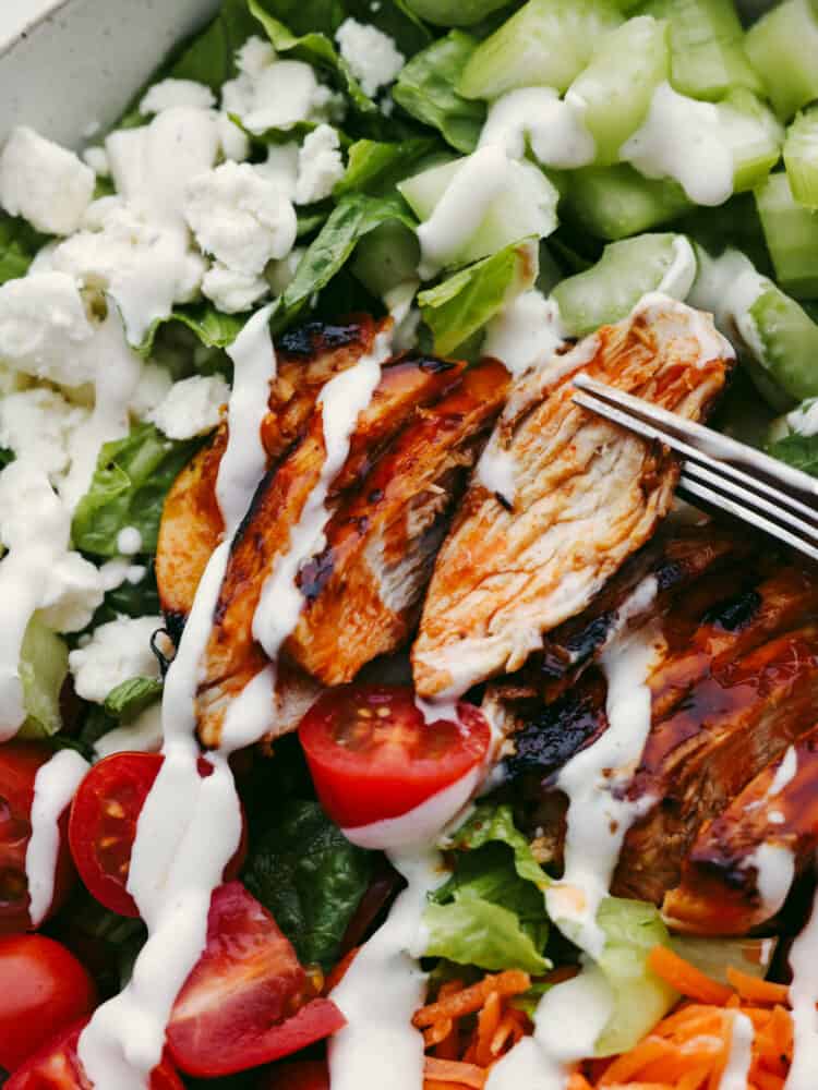 A close up of buffalo chicken salad with a fork in the chicken. 
