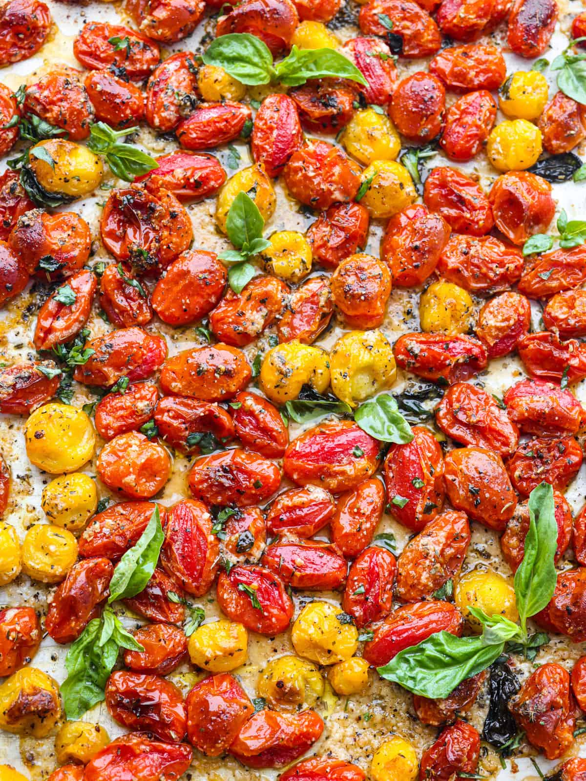 How To Roast Cherry Tomatoes with Garlic & Herbs - The Original Dish
