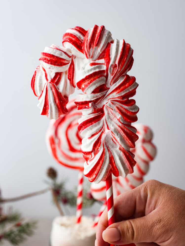 Peppermint Meringue Lollipops - 77