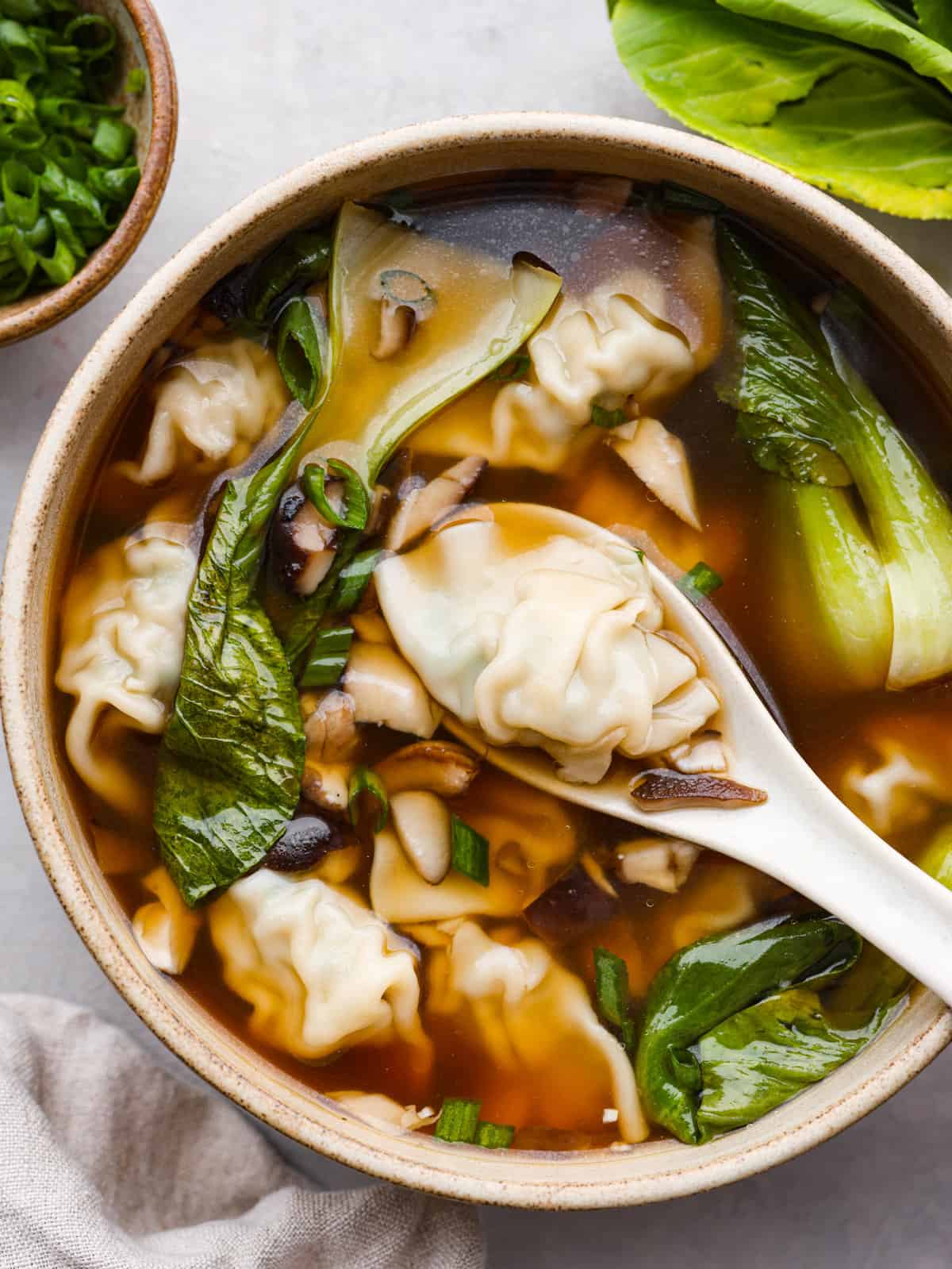 Wonton Soup Recipe