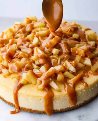 Baileys Cheesecake Recipe | The Recipe Critic