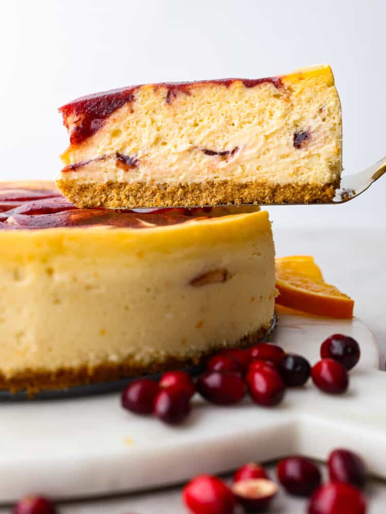 A piece of orange cranberry cheesecake being lifted out of the whole by a pie spatula.