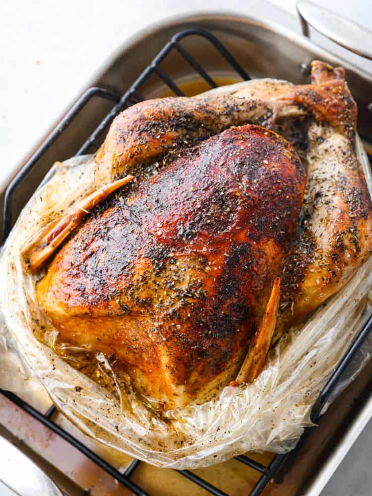 Top view photo of Golden roasted turkey sitting in the roasting pan.
