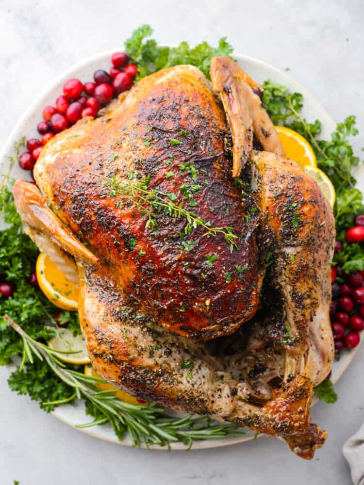 Close up view of turkey on a platter with herbs, citrus, and cranberries.