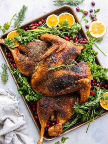 Best Turkey Recipes & Turkey Meal Ideas - The Recipe Critic