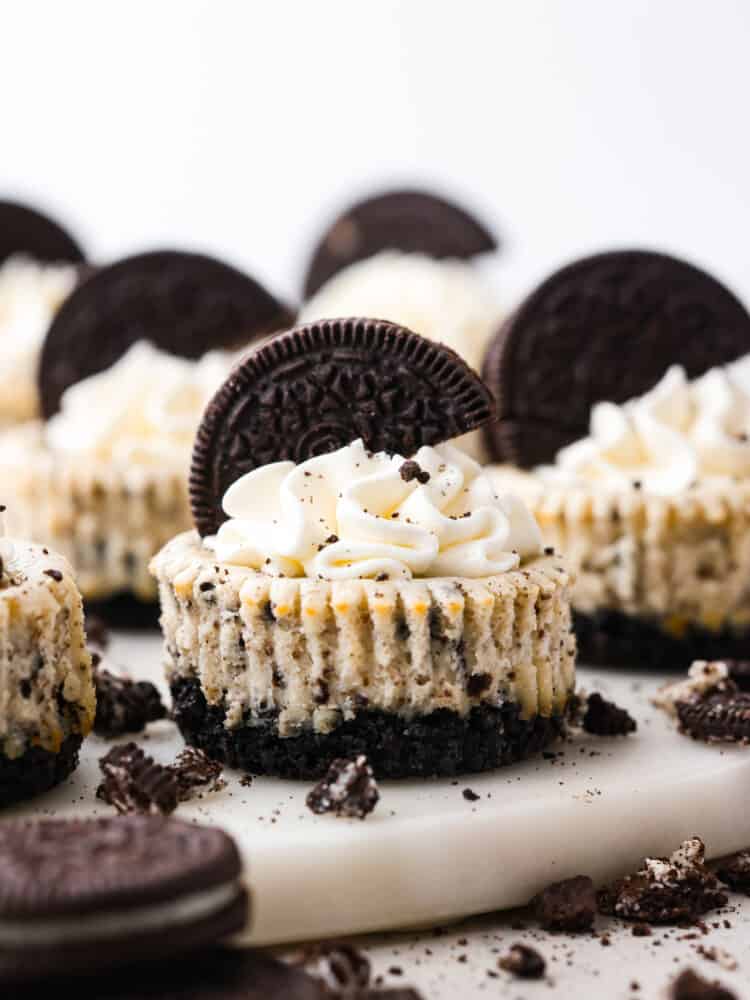 Hero image of mini cheesecakes topped with whipped surf and an Oreo.
