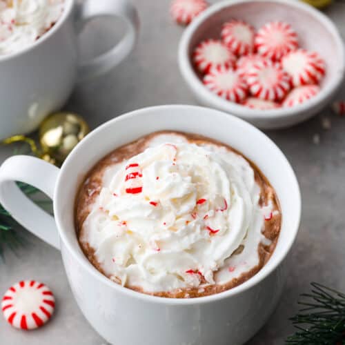 Peppermint Hot Chocolate Recipe - Rockin Mama™