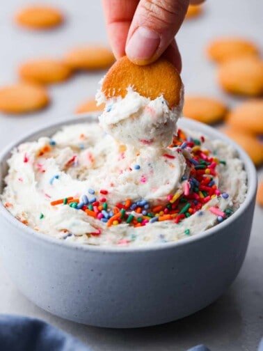 Dog Ice Cream Recipe | Recipe Critic dunkaroodip 1