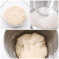 Pizza Dough Quick And Easy The Recipe Critic   Quick And Easy Dough 250x250 