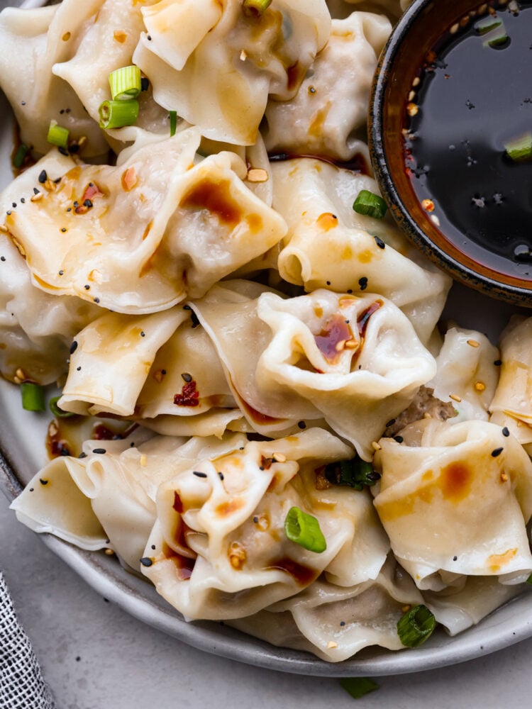 Closeup of pork wontons.