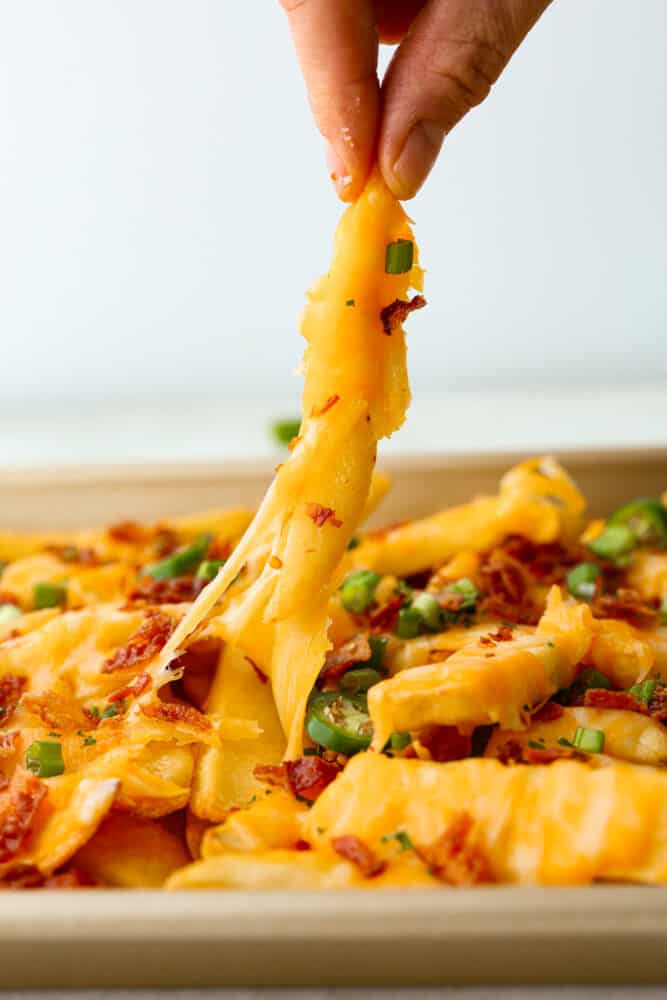 Loaded Fries Recipe - 31