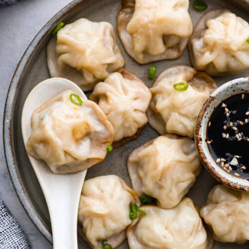 https://therecipecritic.com/wp-content/uploads/2023/02/soup_dumplings-500x500.jpg