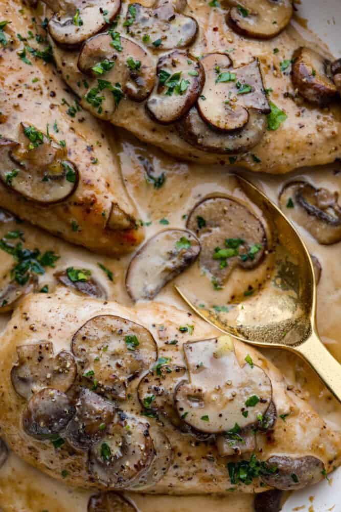 A close up of creamy chicken marsala in a bowl with a golden spoon.