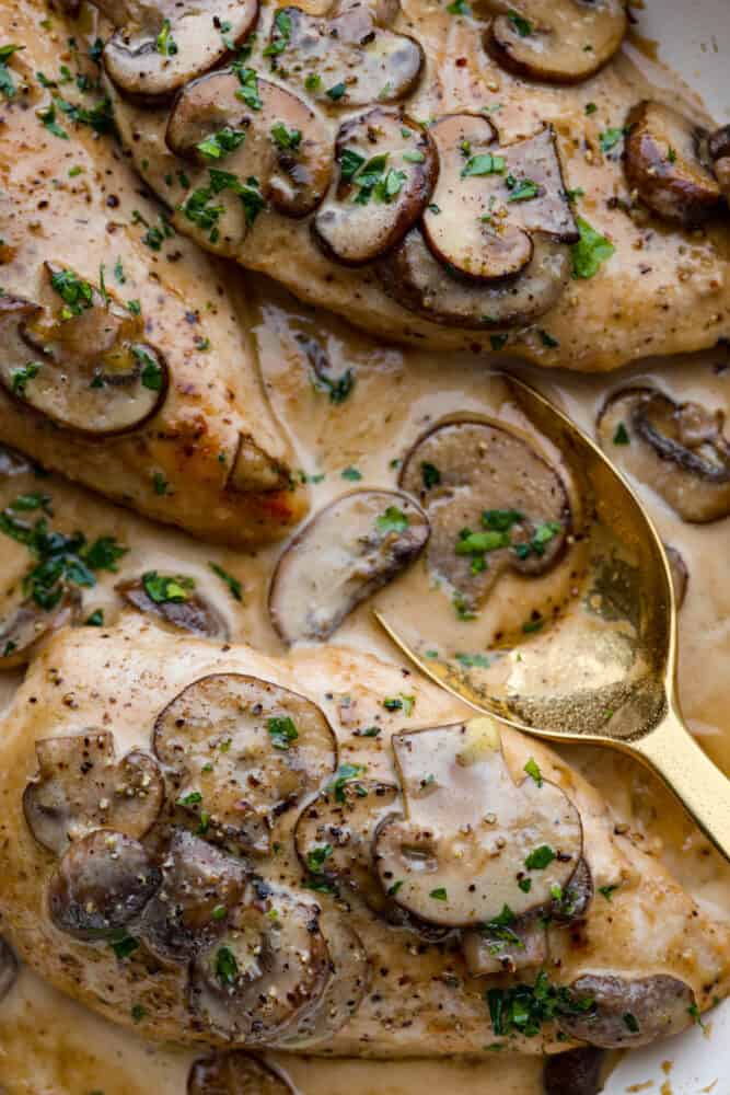 Creamy Chicken Marsala is a classic Italian dish that is ready in under 30 minutes! Marsala wine is made into a creamy sauce paired with mushrooms for the ultimate savory bite. It's simple and easy to whip up and sure to be a crowd-pleaser! A close up of creamy chicken marsala in a bowl with a golden spoon.
