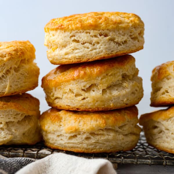 Classic Biscuits (The Only Recipe You’ll Ever Need!) | The Recipe Critic