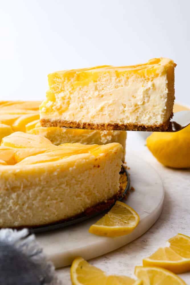 A slice being served with a cake spatula.