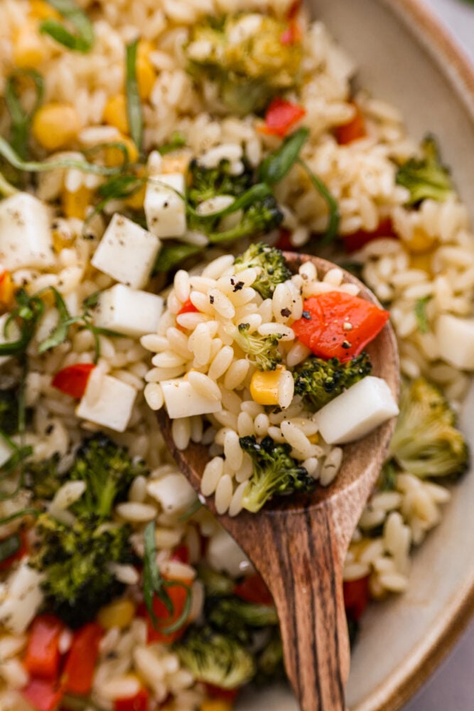 Orzo Pasta Salad - 33