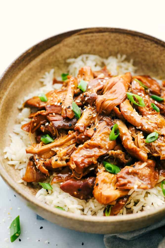 Slow Cooker Honey Garlic Chicken Recipe - 22