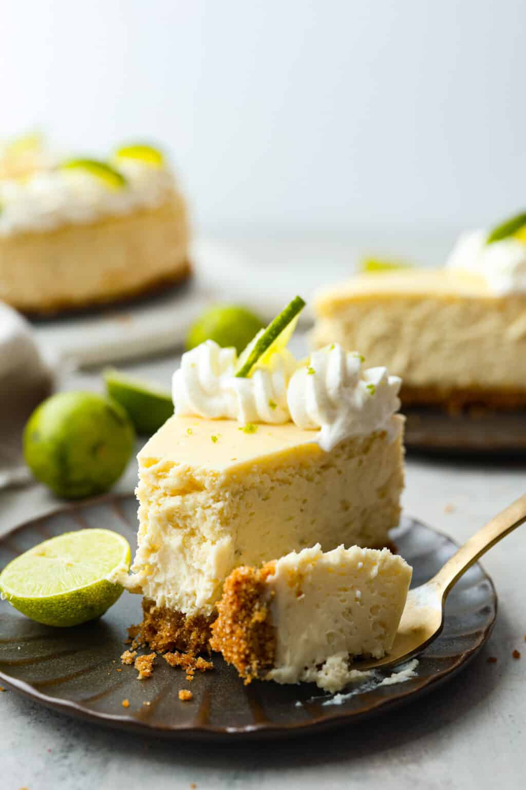 Easy Cheesecake Recipes for You to Enjoy! | The Recipe Critic