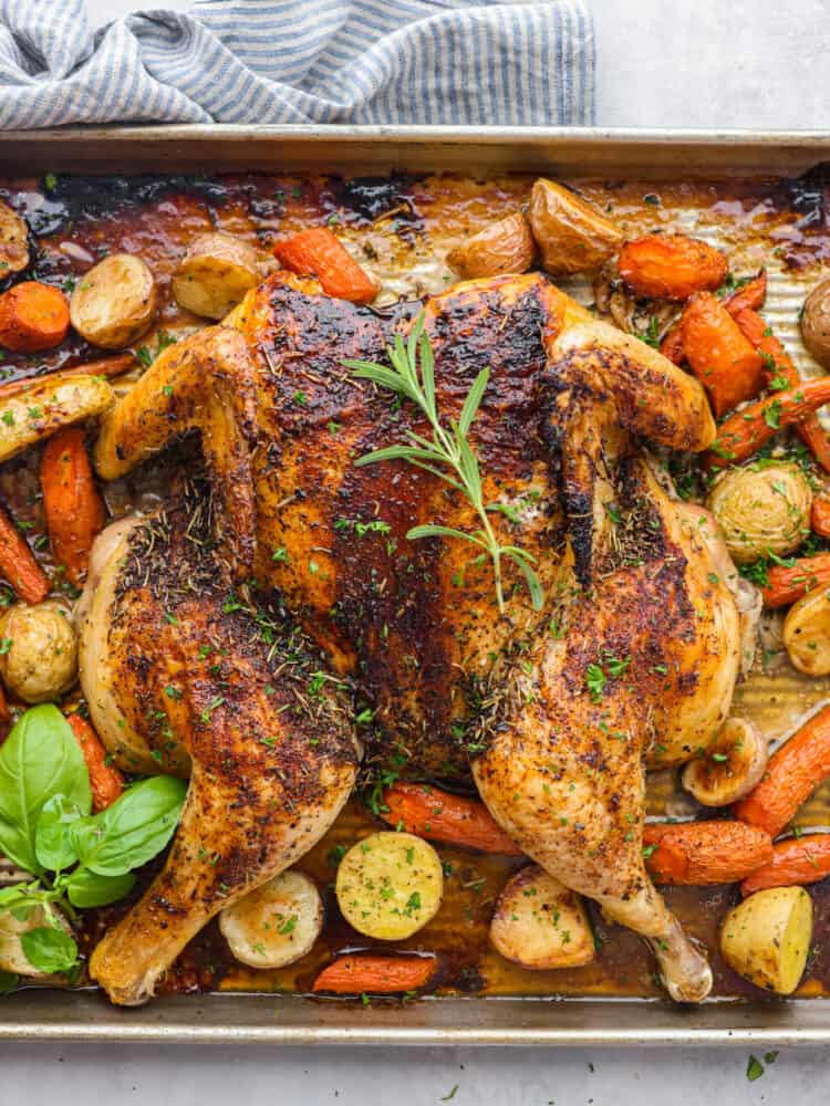 Top view of spatchcock chicken roasted on a roasting pan and garnished with roasted carrots, potatoes, and fresh herbs.