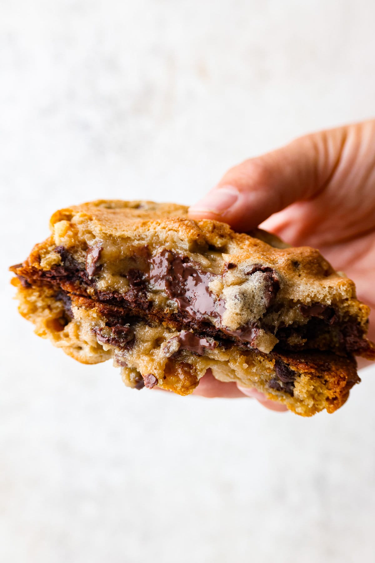 Levain Cookie (Copycat Recipe) The Recipe Critic