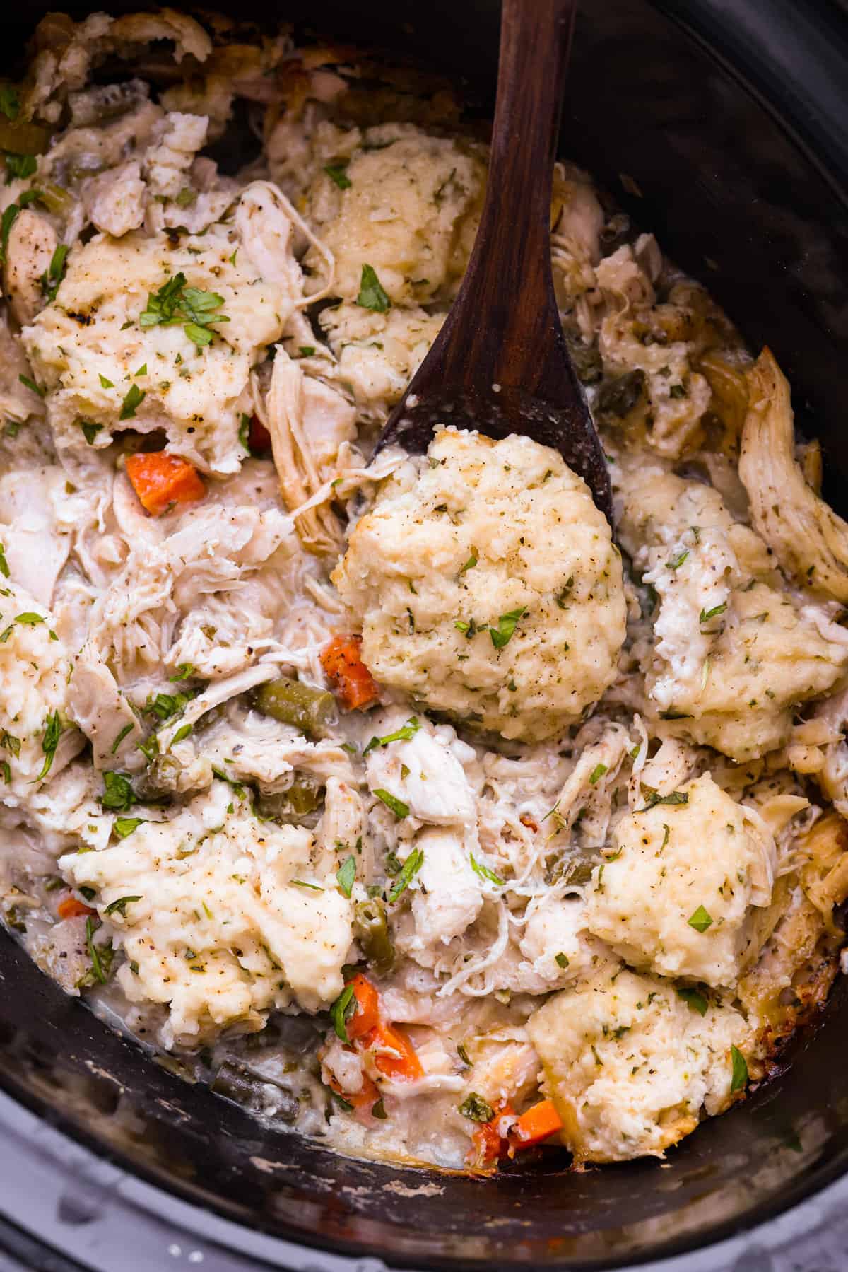Slow Cooker Chicken and Dumplings Recipe