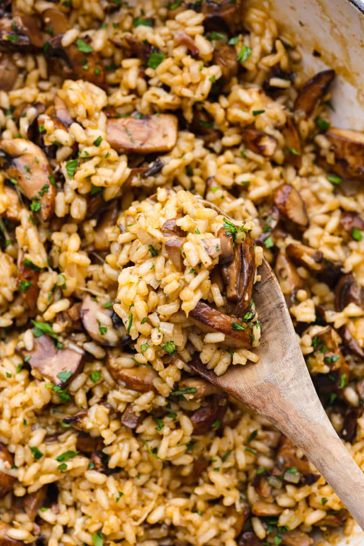 Close-up of a spoonful of creamy mushroom risotto.