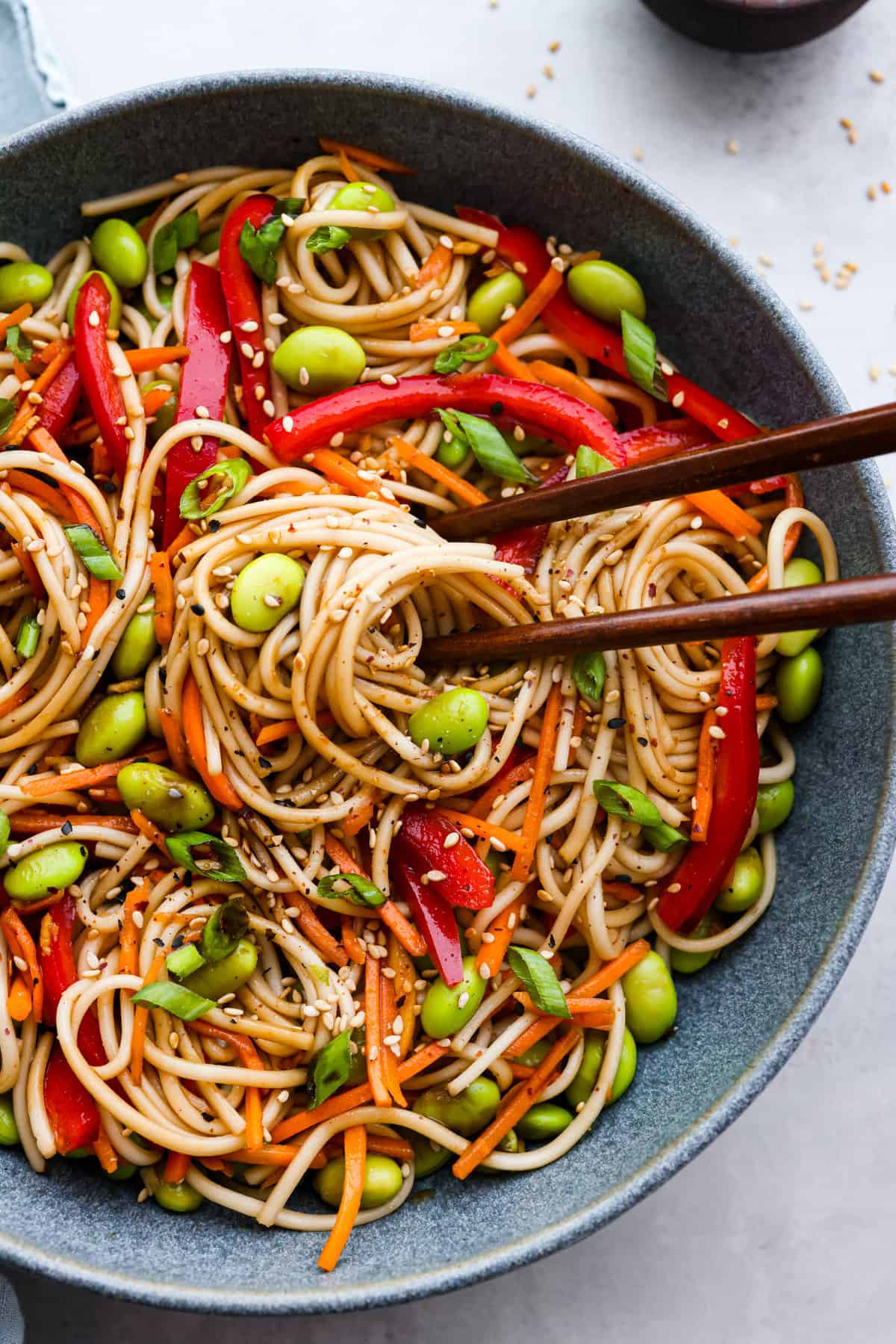 Soba Noodle Salad Recipe | The Recipe Critic